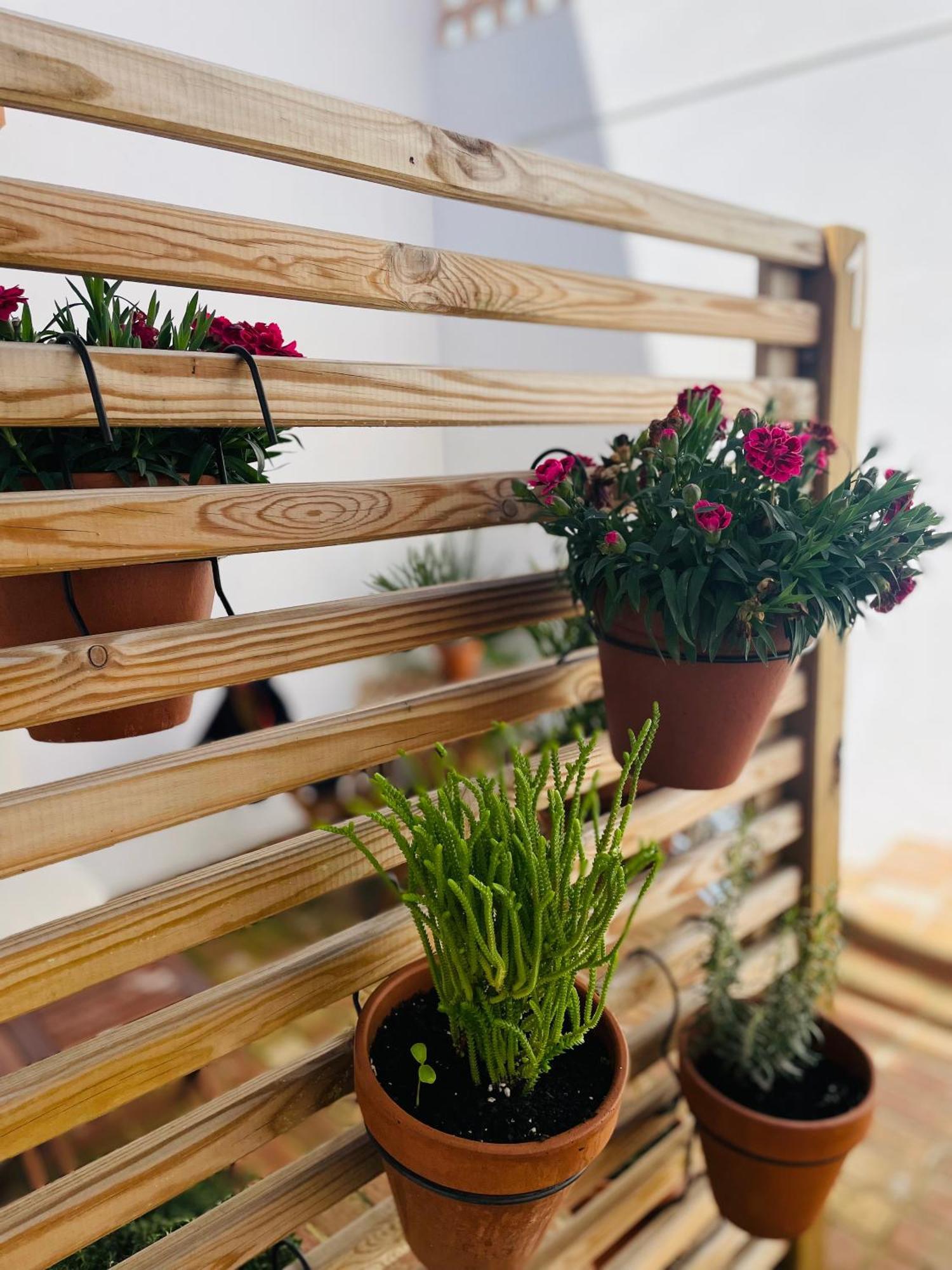 Casa Valenciana Con Terraza Apartment Ngoại thất bức ảnh
